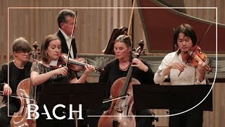 Bach  Concerto for two violins in D minor BWV 1043  Sato and Deans  Netherlands Bach Society [upl. by Enellek]