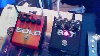 Quick Review  ProCo SOLO vs RAT2 [upl. by Georgette]