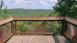 Bernheim Arboretum amp Research Forest  Canopy Tree Walk [upl. by Enneiviv798]