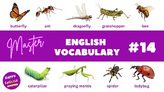 Master English Vocabulary 14  Insects  Learning in Context  Best Way to Speak English Fluently [upl. by Aciret]