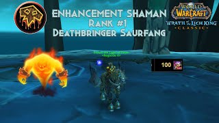 ICC 25m DEATHBRINGER SAURFANG RANK 1 WORLD ENHANCEMENT SHAMAN 14598 dps [upl. by Nwadahs]