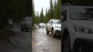 Rainy Subaru Wilderness OffRoad Adventure [upl. by Nitas]