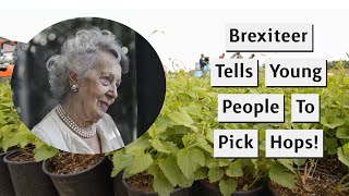 Brexiteer Lynn Wants Young People To Pick Hops Like In The Old Days [upl. by Zulaledairam]