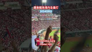 Hiroshima Carp home run廣島鯉魚場內全壘打 [upl. by Aliet]