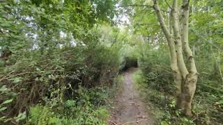 4K60FPSHIRES🚶Circular walk at Llwyni Common Connahs Quay🚶 September 21st 2024 [upl. by Leugar]