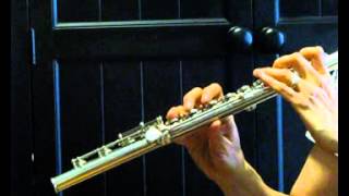 Lamberson Used Flute for Sale  Low  Mid Range Demo [upl. by Jeconiah]