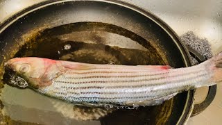 Cutting and Cleaning Pennsylvania Stripped Sea Bass Fish  sea fishing fish ocean [upl. by Okiman198]