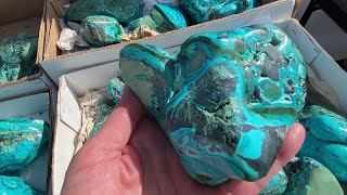 Expo Center  Tucson Gem amp Mineral Show 2024 [upl. by Steffane491]