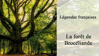 Légendes française  la forêt de Brocéliande un lieu de légende 812 [upl. by Ohare]