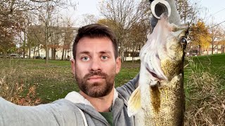 Fishing at the Fox River in Illinois fishing fishinglife fishingvideo [upl. by Sloane]