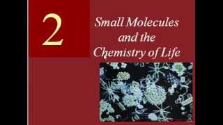 Chemistry Video Review [upl. by Anaujat]