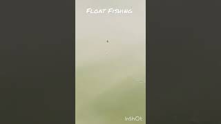 Float Fishing [upl. by Leikeze]