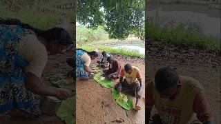 Namma vayal ku sapadu kondu pononga🍛🌾 shots villagelife [upl. by Lezlie]