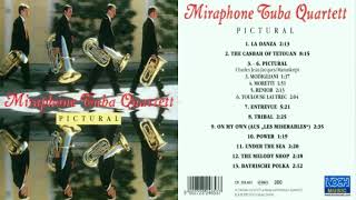 Miraphone Tuba Quartett  On my own les Misérables [upl. by Noryv]