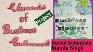 Class 12th Business Studies Project on Elements of Business Environment project projectwork viral [upl. by Aivatnwahs]