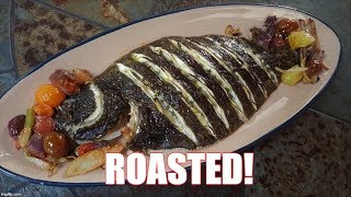 Catch and Cook Roast Fluke [upl. by Benco]