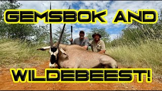 Gemsbok amp Wildebeest Hunting in South Africa [upl. by Lednyk158]