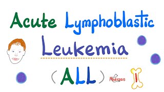 Acute Lymphoblastic Leukemia ALL  Symptoms Pathogenesis Diagnosis  Down Syndrome  Hematology [upl. by Neyud]