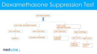 Dexamethasone Suppression Test How it is done and interpretation of the findings [upl. by Enitsirhk]