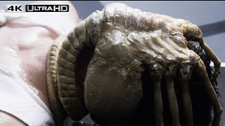 Alien 4k HDR  Face Hugger [upl. by Timothea293]