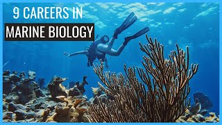 9 Careers in Marine Biology You Should Know About  Careers in Biology [upl. by Diao]