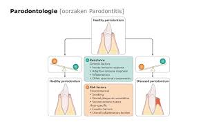 Parodontologie Wat een Vak [upl. by Chretien]