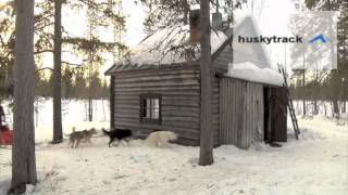 huskytrack Hundeschlittentour in Lappland [upl. by Pierrepont]