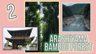 ENTER THE BAMBOO FOREST  Arashiyama  Sagano Scenic Railway [upl. by Letch]