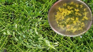 Brahmi shak recipe in bengali  ব্রাহ্মী শাকের গুণাগুণ ও রান্না করার পদ্ধতি [upl. by Genevieve]