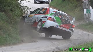 Herbst Rallye Dobersberg 2024  Flat out  Mistakes  Neuville Mistake [upl. by Ylliw]