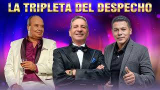 Dario Gomez Luis Alberto Posada Fernando Burbano  Los Reyes Del Despecho  Despecho Mix [upl. by Hermosa]