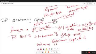 urinary system class 02 [upl. by Aicittel]