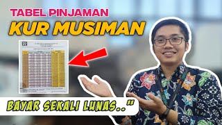 Tabel Pinjaman KUR MUSIMAN  Bayar Sekali Lunas [upl. by Neysa]