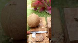 Dried coconut  how to remove coconut from Shell [upl. by Thunell]