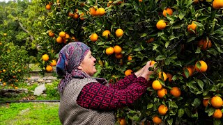 Farm Fresh Lunch  Cooking for Orange Harvest Workers [upl. by Paquito830]