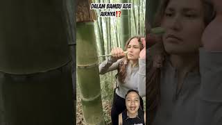 DALAM BAMBU ADA AIRNYA⁉️ nature bamboo bushcraft satisfying wood survival lifehack camping [upl. by Esyned]