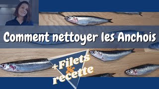 Comment nettoyer les Anchois  filets  recette   Bonus Bêtisier [upl. by Bennie571]