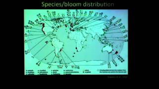 Holly Bowers presents Diversity of Pseudonitzschia in Monterey Bay [upl. by Cerallua530]