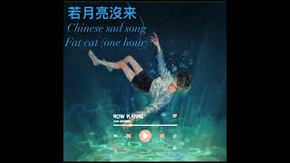 Chinese sad song 若月亮沒来 fat cat one hour🦋 [upl. by Ozmo]