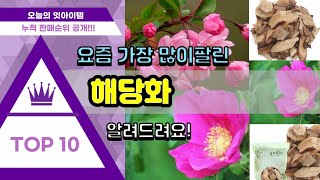 해당화 추천 판매순위 Top10  가격 평점 후기 비교 [upl. by Tseng]