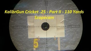 KalibrGun Cricket 25 Air Rifle  Part II  110 Yards 100m Scopecam [upl. by Nimrahc]