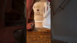 Refinishing stair treads woodfloors staining satisfying Woodworking BeforeAndAfter Restoration [upl. by Kristopher954]