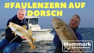 Erfolgreich auf Dorsch mit der Faulenzer Methode  Mommark Charterboot [upl. by Pheni212]