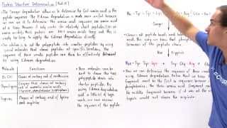 Sequencing Amino Acids in Proteins [upl. by Akemor]