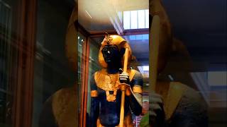 This is Heart of Egypt travel shortsvideo [upl. by Tiffa]