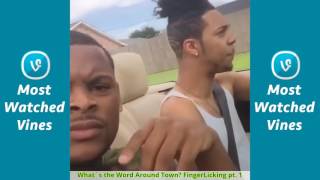 Nick Nack Pattiwhack  All Vines Compilation 2017 Updated [upl. by Nyrek]