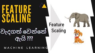 Feature Scaling in Machine Learning  Sinhala [upl. by Nylacaj]