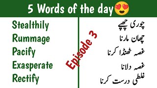 5 Words of the day Episode 3  Pacify rectify exasperate stealthily Rummage  English Seekhain [upl. by Anirbas]