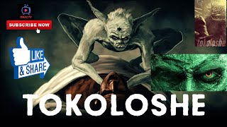 7 SCARY TOKOLOSHE CAUGHT ON CAMERA [upl. by Ayota]