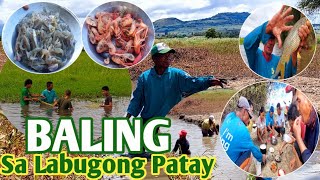 Ep5 2024  quotBALINGquot sa Labugong Patay  Catch and Cook  Pangingisda sa natuyuang Lawa [upl. by Noj]